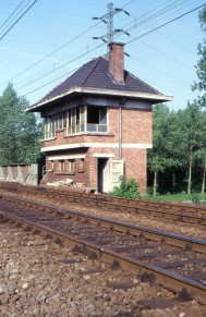 Muizen Prinsenhoek - TH 8505020 R A (2).jpg